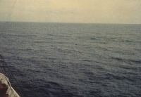 Балл по шкале Бофорта 3 - Слабый бриз Балл по шкале Бофорта 3 - Слабый бриз