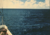 Балл по шкале Бофорта 5 - Свежий бриз Балл по шкале Бофорта 5 - Свежий бриз