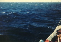 Балл по шкале Бофорта 6 - Сильный бриз Балл по шкале Бофорта 6 - Сильный бриз