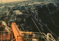 Балл по шкале Бофорта 9 - Шторм Балл по шкале Бофорта 9 - Шторм